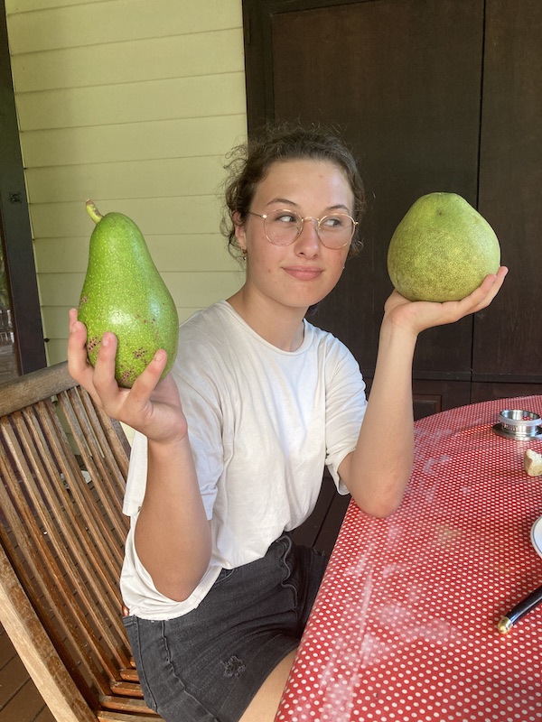 fruits fruits costauds