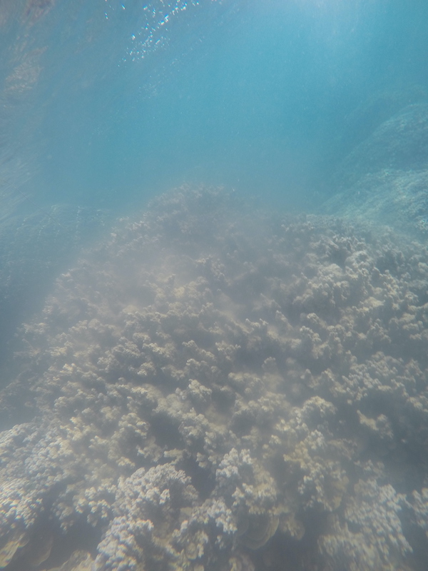 DCIM100GOPROGOPR0729. ponte du corail