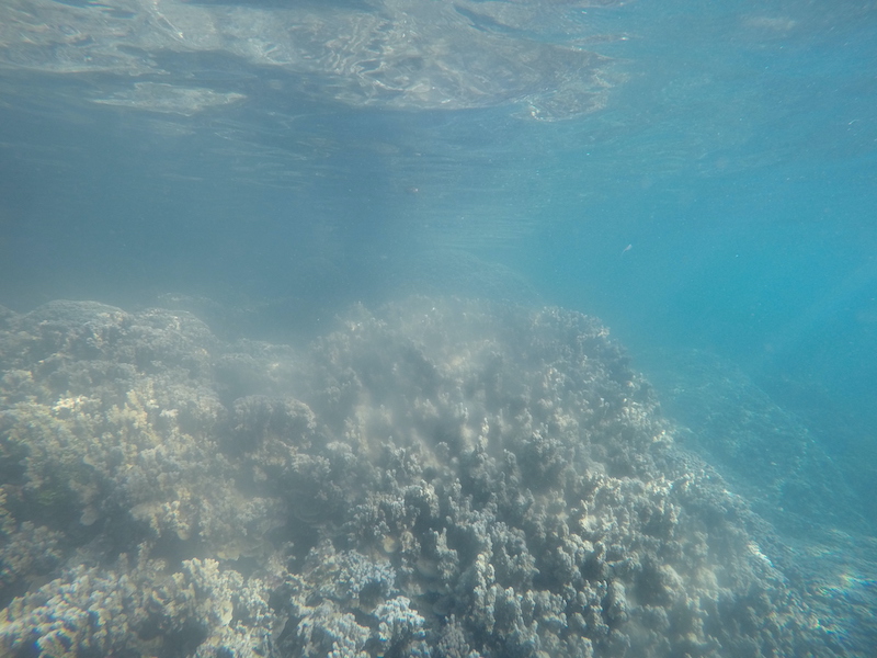 DCIM100GOPROGOPR0730. ponte du corail